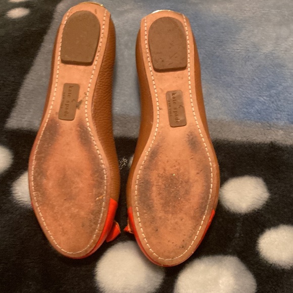 Anything - Picture 3 of 4